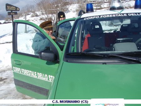 Emergenza neve 2012