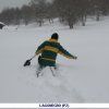 Emergenza neve 2012