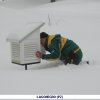 Emergenza neve 2012