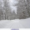 Emergenza neve 2012