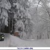 Emergenza neve 2012