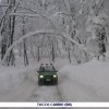Emergenza neve 2012