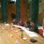 Conferenza stampa potenziamento organico